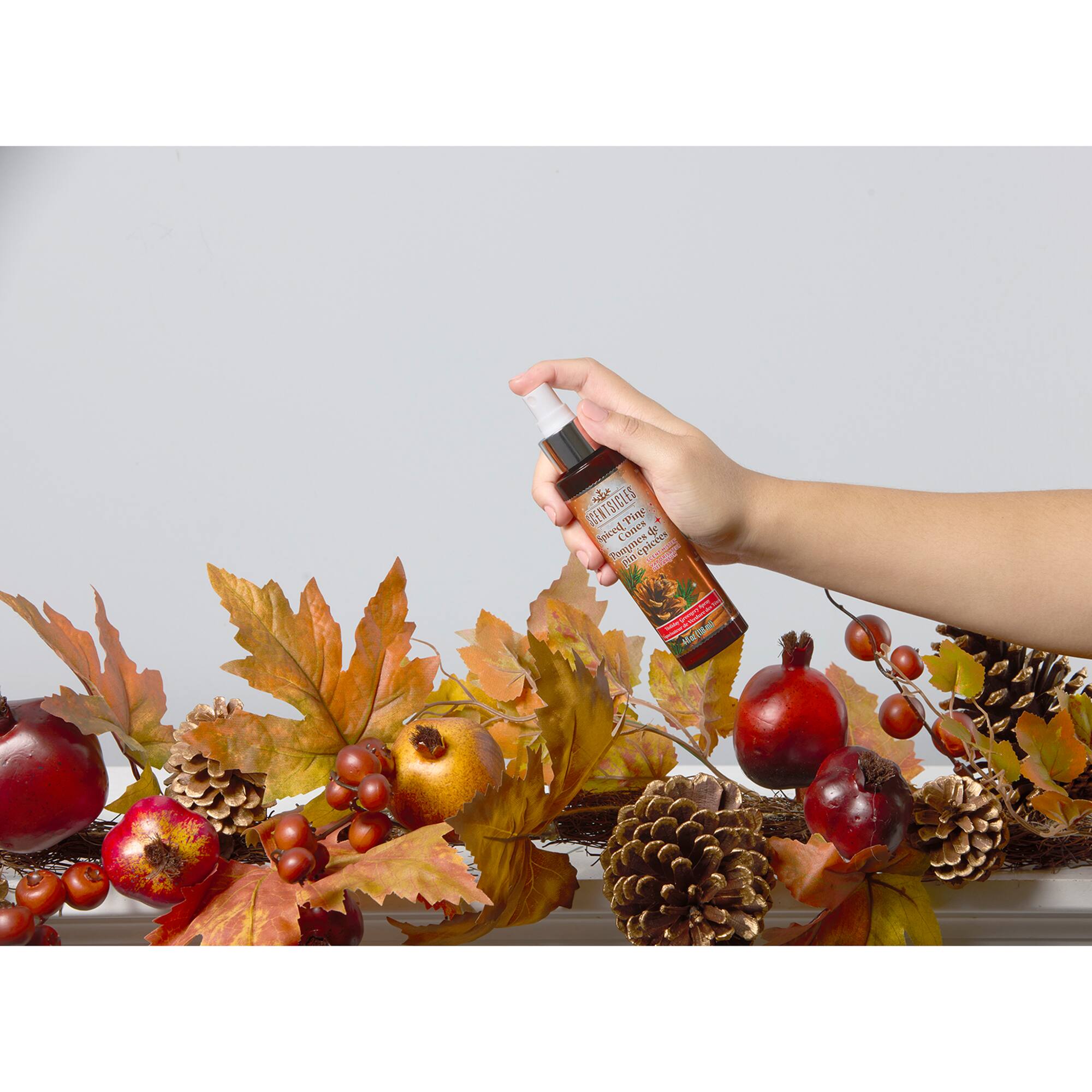 Scentsicles® Spiced Pine Cones Scented Ornament Sticks & Spray Mister™ Pack